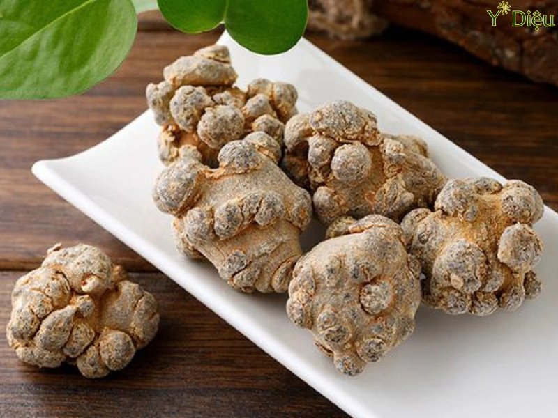Tam Thất Bắc: Dược Tính Và Công Dụng Trong Y Học Cổ Truyền